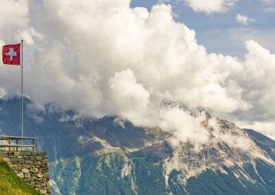 TaPP-MJMCE Insights: A Gold Standard UK-Switzerland FTA?